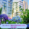 アーティストの主張「花咲 愛実・【エッセイ】「都会の色彩を感じた日」」掲載開始です！　是非ご覧ください。